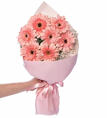 Pudra Bukette Pembe Gerberalar