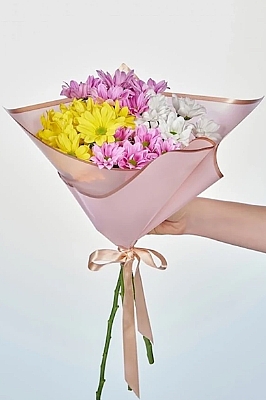 Zarif Renkli Papatyalar