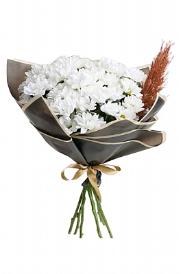 Beyaz Papatya Buketi